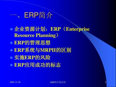 ERP的开发与应用PPT