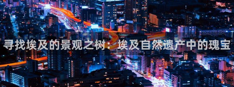 新宝gg手机登录官网