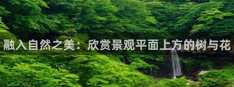 新宝gg主管开