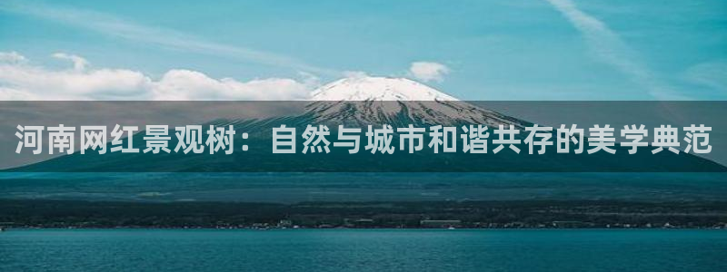 新宝gg官网