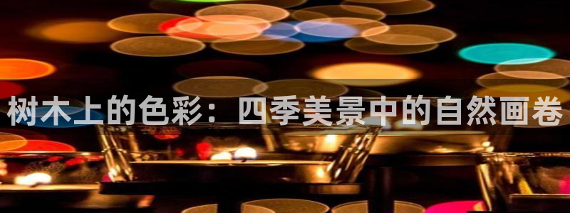 新宝gg工资