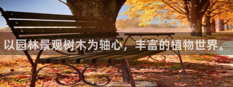 新宝gg 内部 8