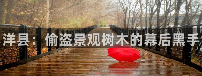 新宝gg登录地址