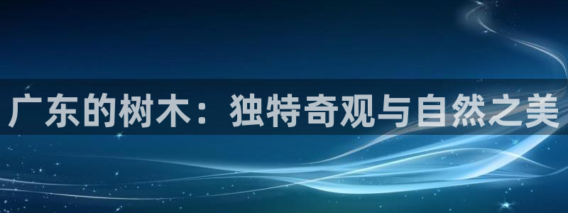 新宝gg重