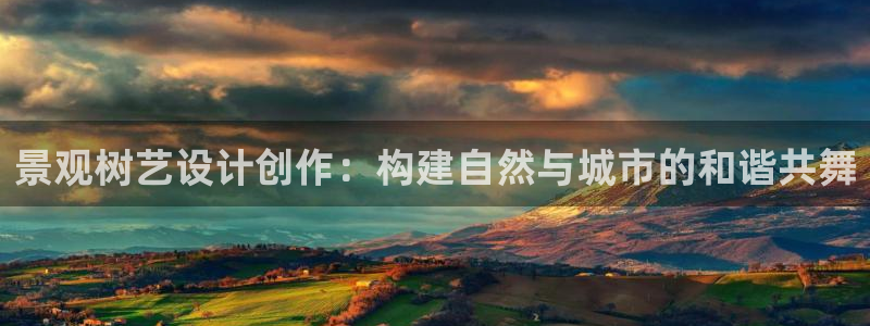 新宝gg联系
