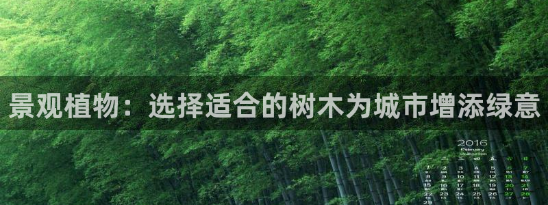 新宝gg—登录