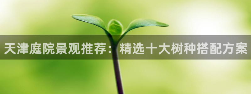 新宝gg创造