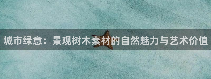 新宝gg指定平台