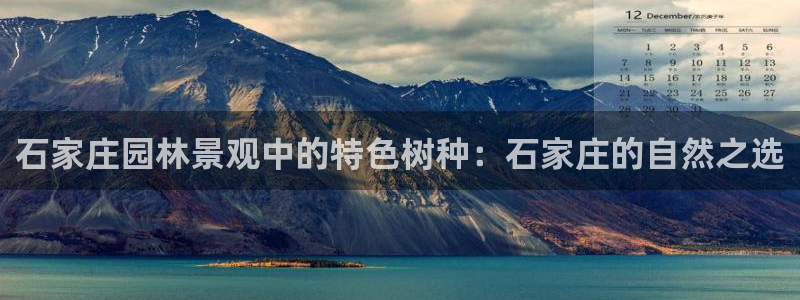 新宝哈哈gg