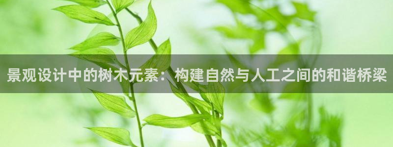 新宝 gg平台