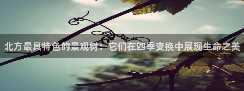 新浪新闻新宝gg