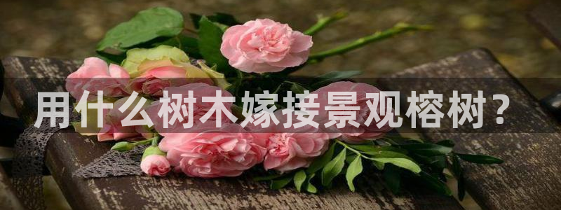 新宝gg合法吗