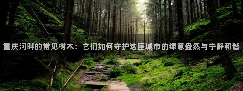 下载新宝gg怎么下载：重庆河畔的常见树木：它们如何守护这座城市的绿意盎然与宁静和谐
