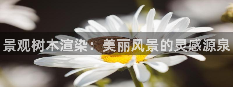 宝新gg