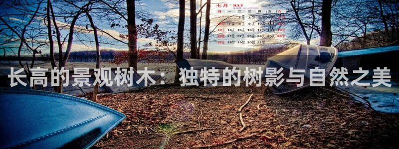 新宝gg佣金