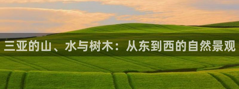新宝集团gg