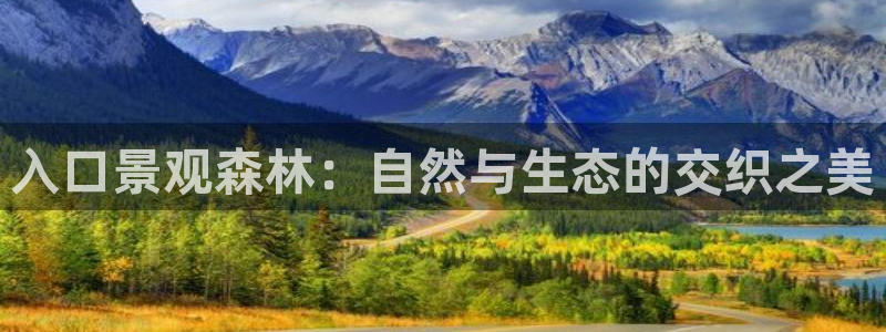 新宝gg直属