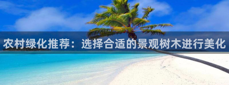 新宝GG玩家