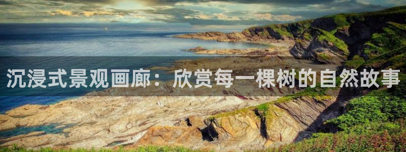 新宝GG上级