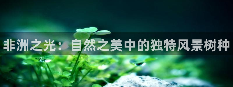 新宝_gg