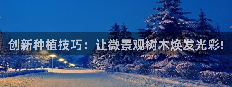 新宝gg娱乐客户端下载