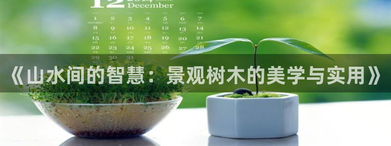 新宝gg平台q891465：《山水间的智慧：景观树木的美学与实用》