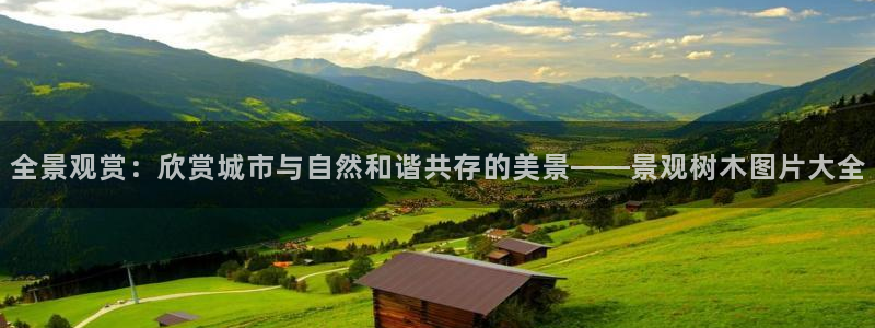 新宝 gg .com：全景观赏：欣赏城市与自然和谐共存的美景——景观树木图片大全
