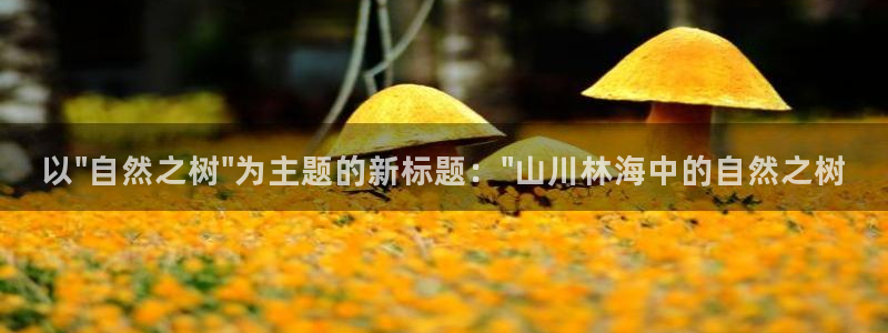 新宝gg娱乐注册
