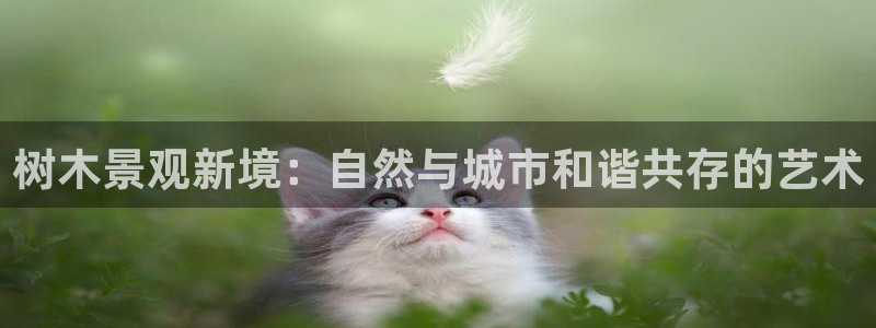 新宝gg登陆