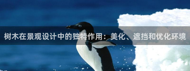 新宝gg分红