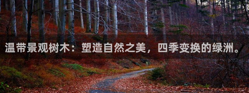新宝gg娱乐怎么样：温带景观树木：塑造自然之美，四季变换的绿洲。