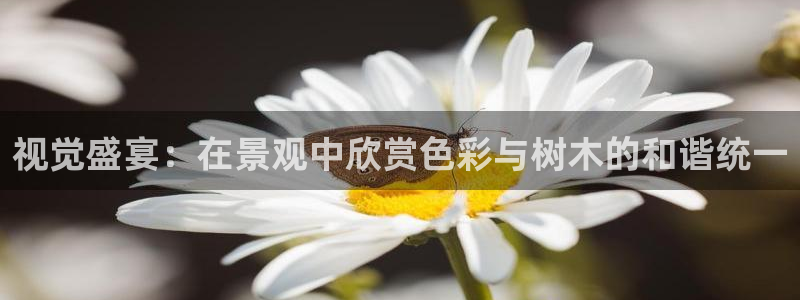 新宝GG速度