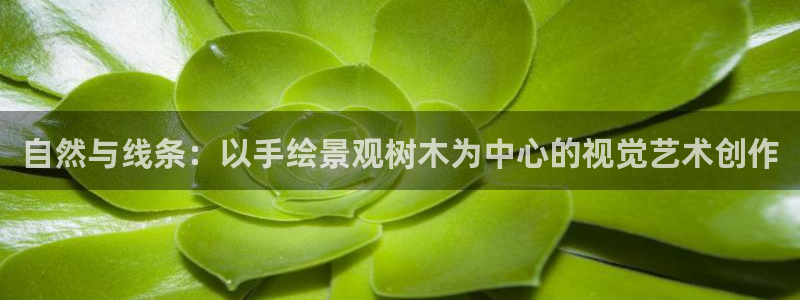 新宝gg娱乐