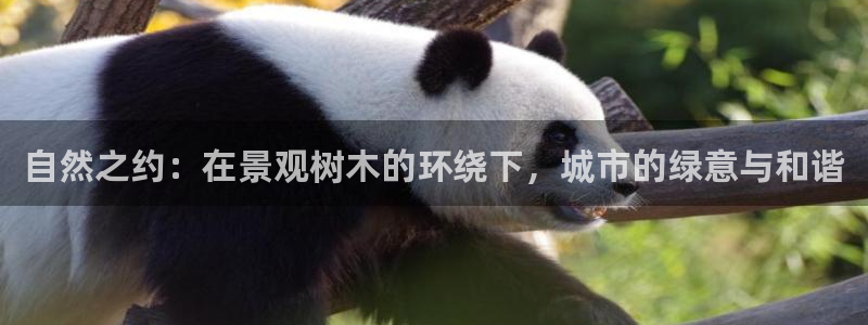 新宝gg登录新：自然之约：在景观树木的环绕下，城市的绿意与和谐