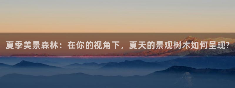 新宝gg信息