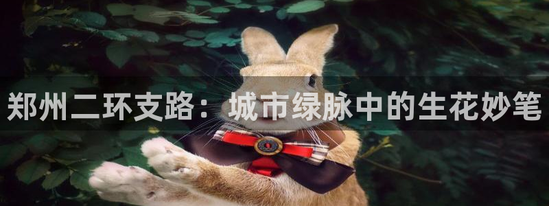 96新宝gg：郑州二环支路：城市绿脉中的生花妙笔