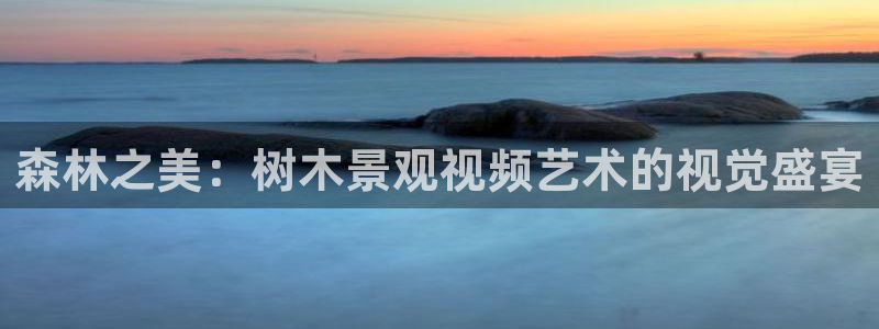 新宝gg属于：森林之美：树木景观视频艺术的视觉盛宴