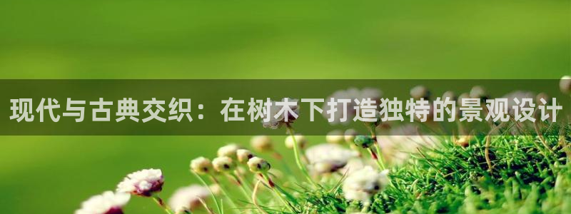 新宝GG傲78778