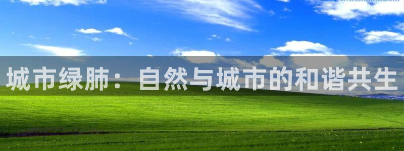 新宝gg介绍