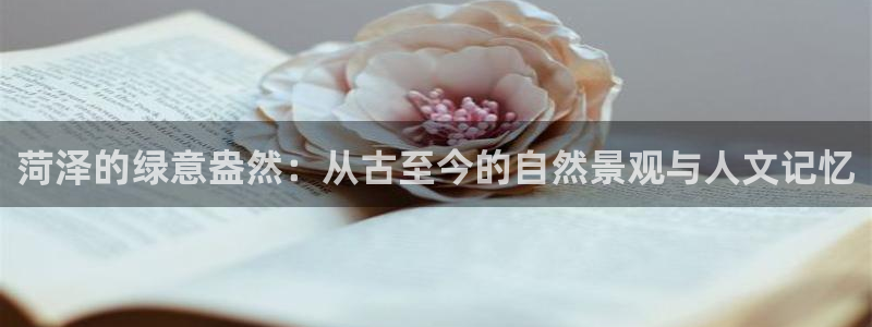 新宝gg软件下载：菏泽的绿意盎然：从古至今的自然景观与人文记忆