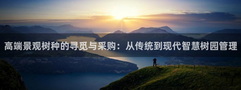 新宝gg怎样