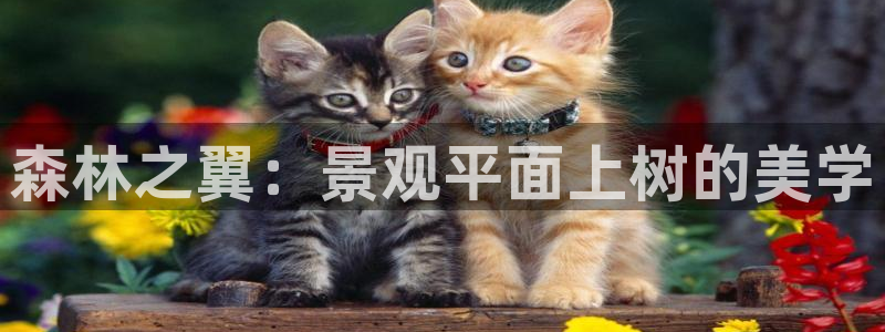 新宝GG链接：森林之翼：景观平面上树的美学