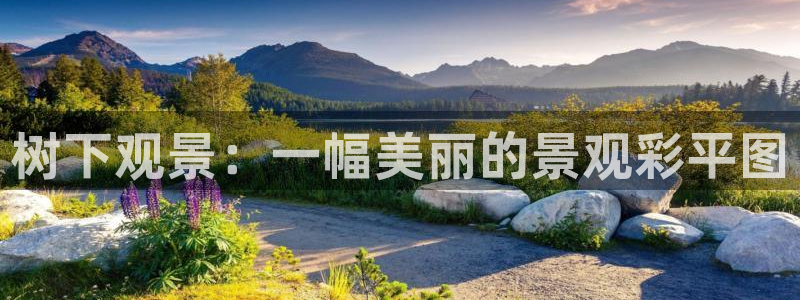 新宝gg创：树下观景：一幅美丽的景观彩平图
