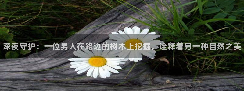 新宝GG专业团队：深夜守护：一位男人在路边的树木上挖掘，诠释着另一种自然之美