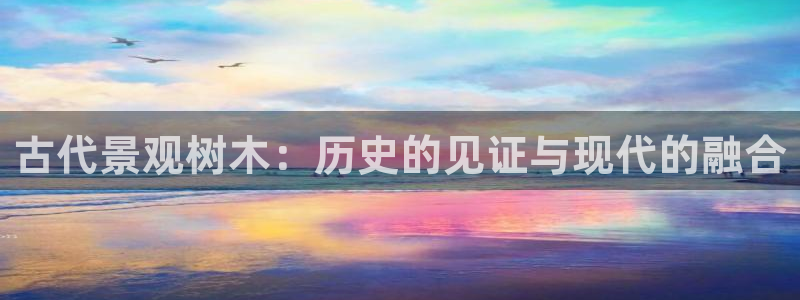 新宝gg网址：古代景观树木：历史的见证与现代的融合