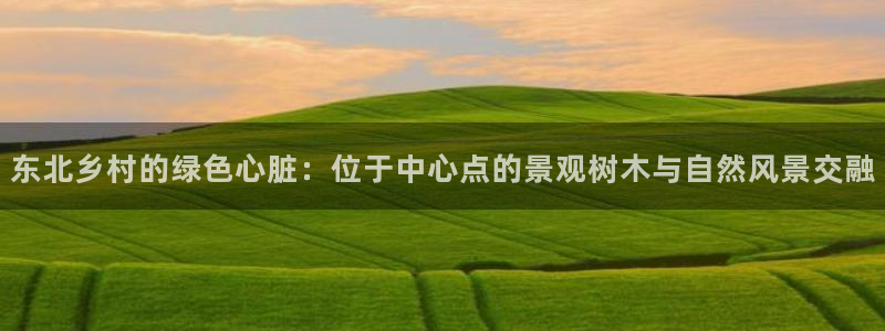 认准新宝gg