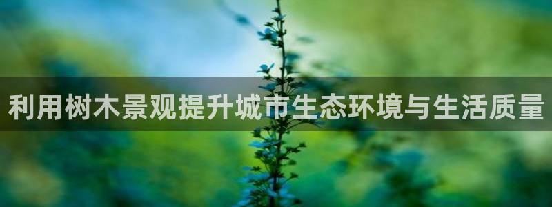 新宝gg游戏平台