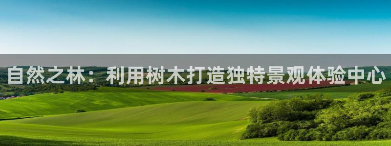 新宝gg系列：自然之林：利用树木打造独特景观体验中心