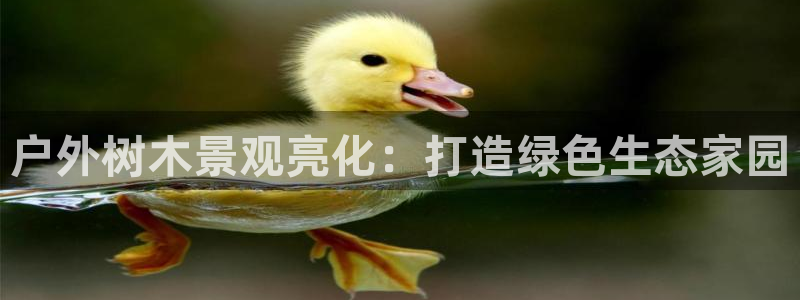 新宝gg109