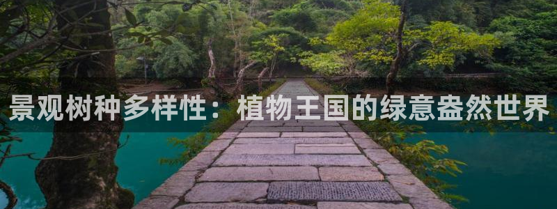 新宝新宝gg开户流程